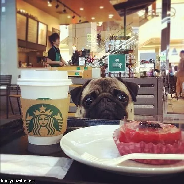 Can I Just Have A Bite