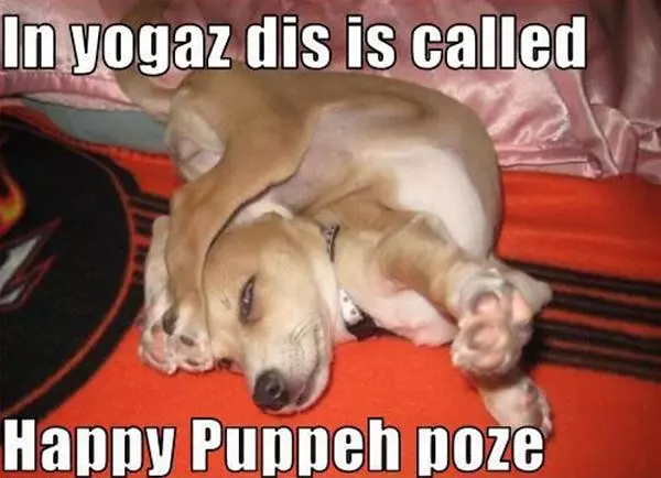 In Yogaz
