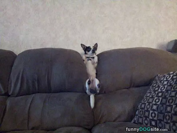 My New Hangout