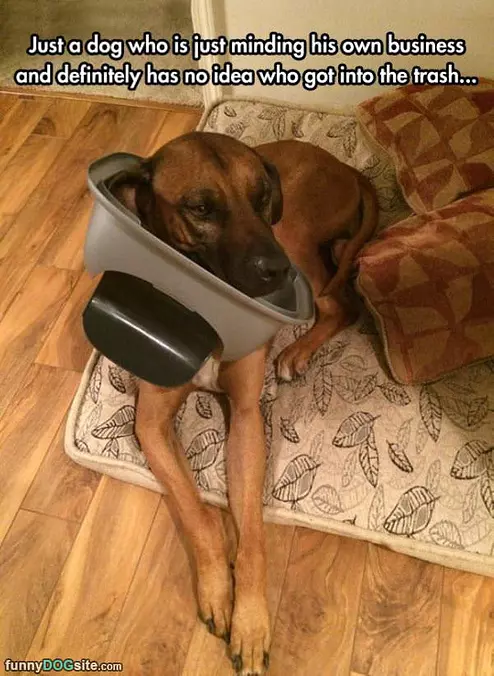 Move Along Nothing To See
