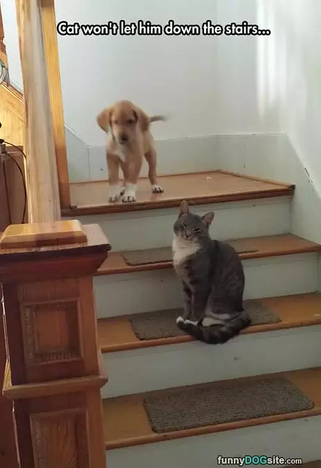 You Shall Not Pass