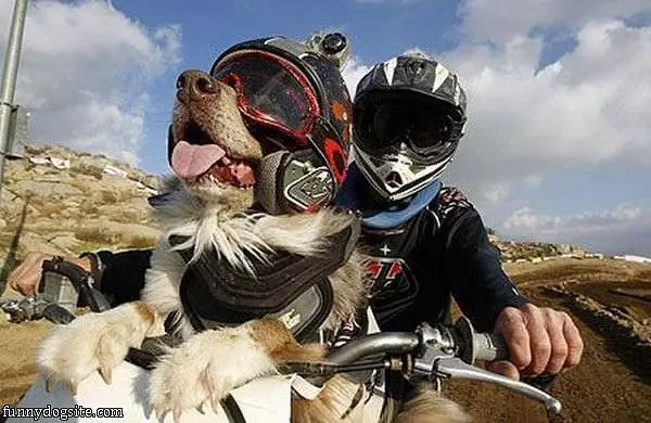 Best Ride Ever