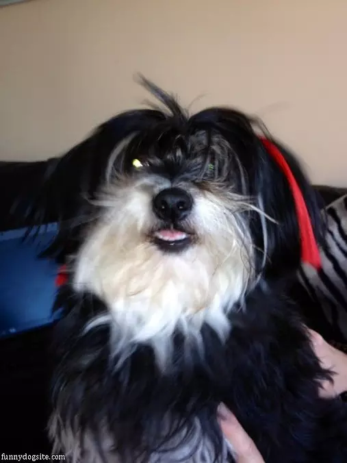 Matilda Complete With Extensions