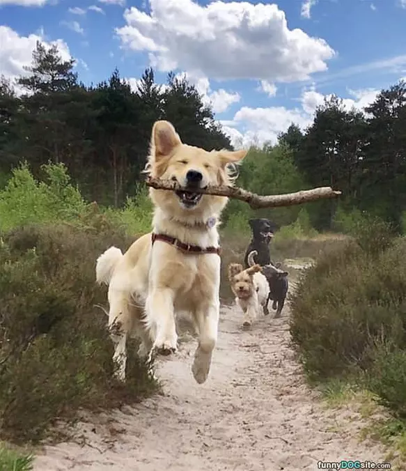 Floating For My Stick