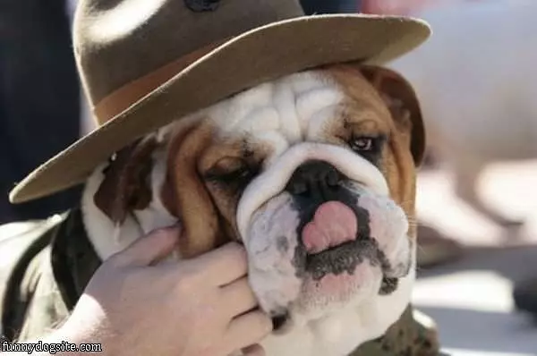 I Has A Hat