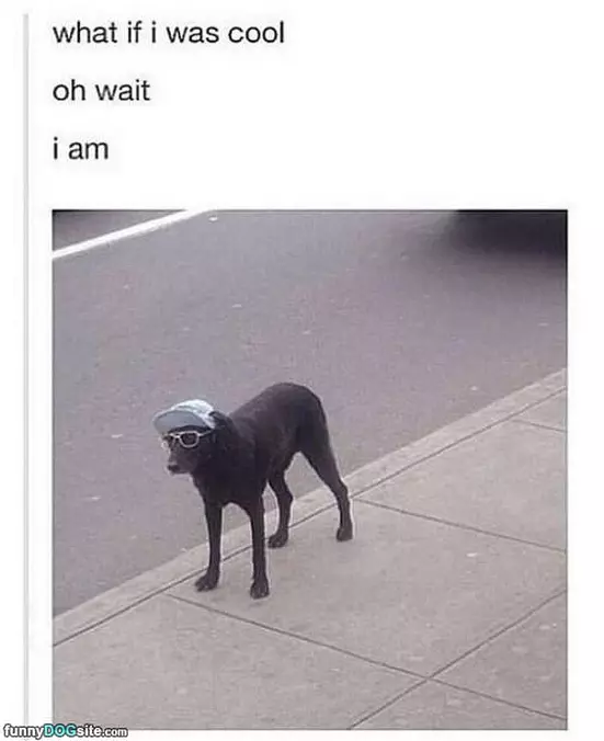 What If I Was Cool