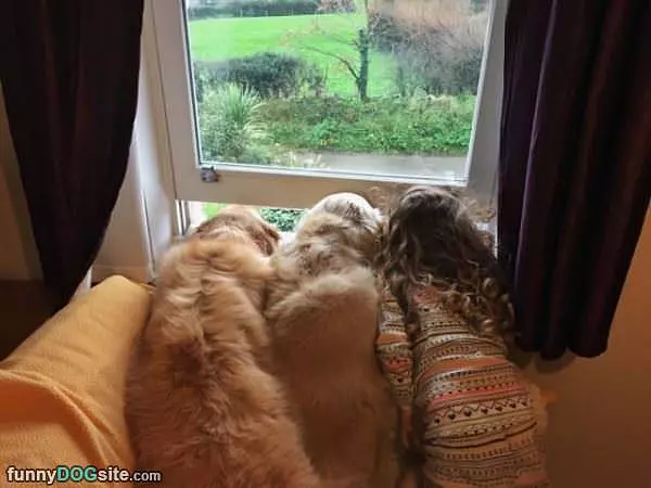 Whats Going On Out There