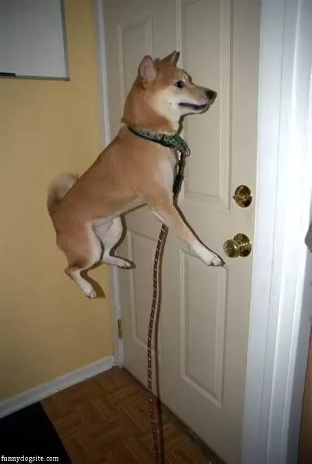Whos Home Whos Home