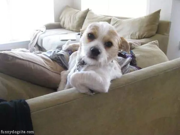 Well Hello There