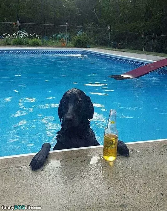 Having A Relaxing Summer Day