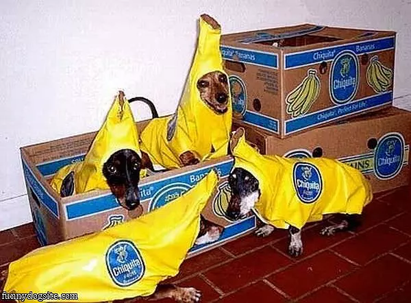 Bananas