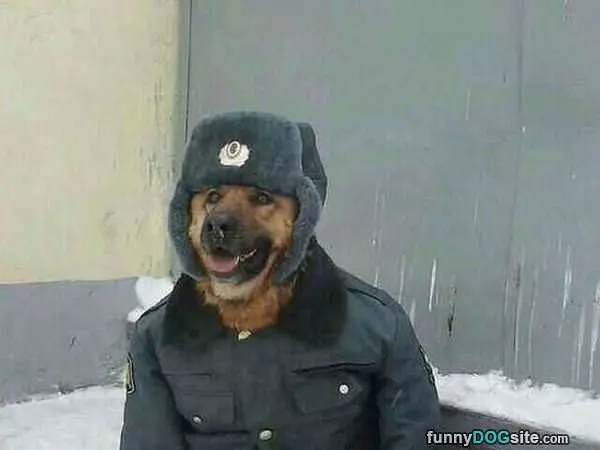 Reporting For Duty