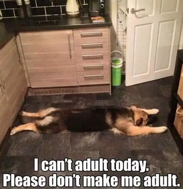 Not Today Please