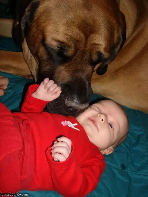 Gimme Kisses