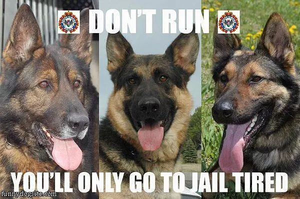 Dont Run