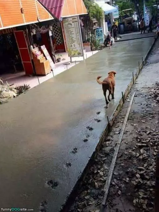 Making Some Footprints