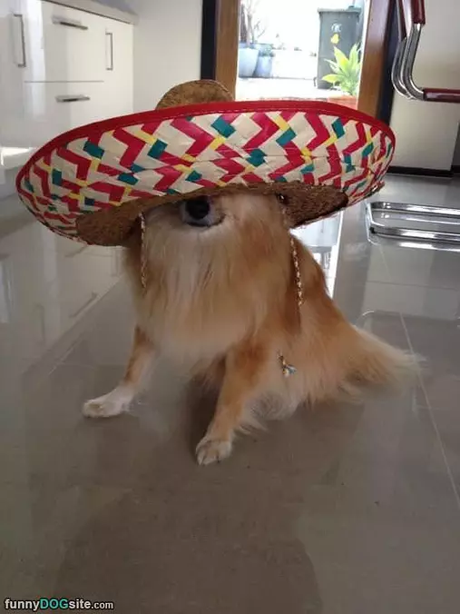 Hat Is A Little Too Big