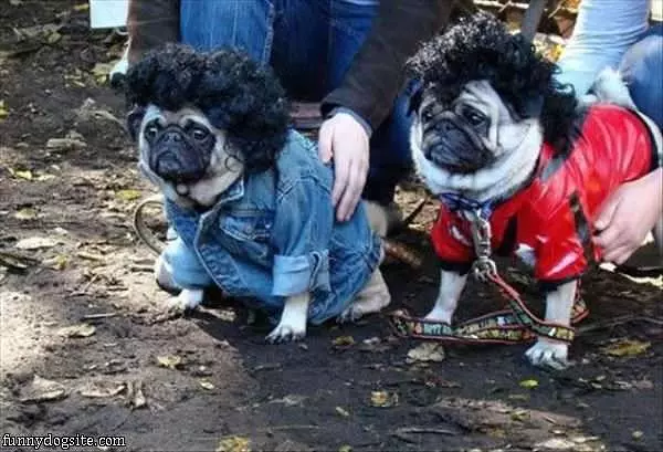 Nice Haircuts
