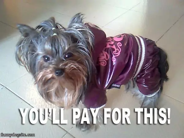 Youll Pay For This