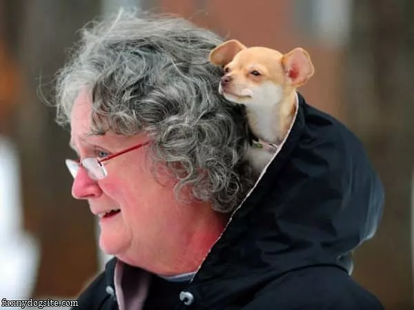 Keeping All Warm