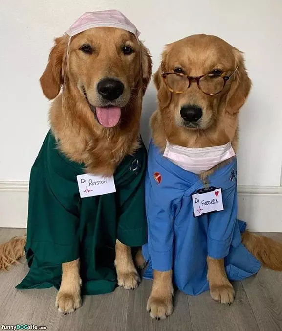 The Doctor Is In