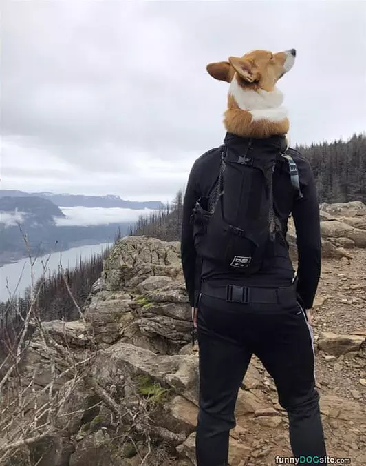 Hold Your Head Up High