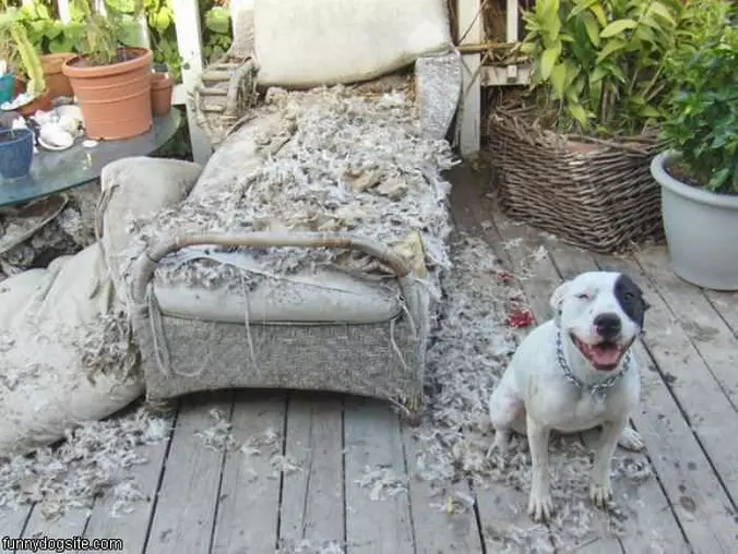 Fixed Your Bed
