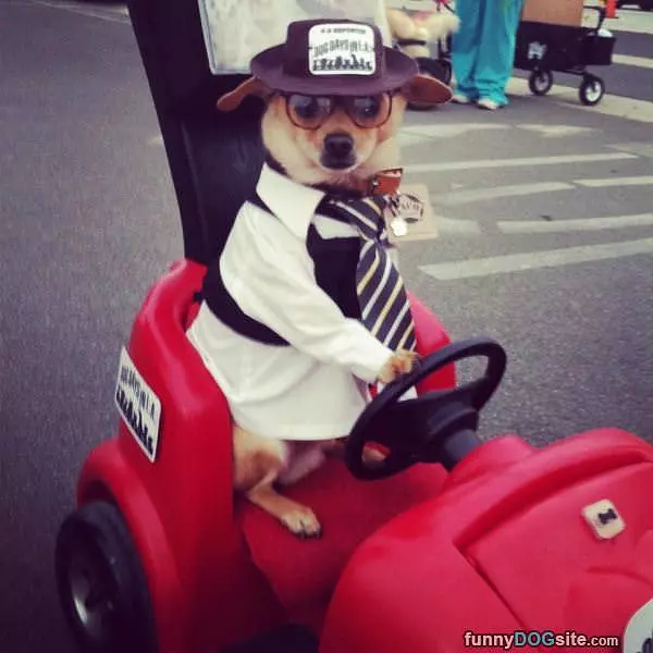 I Can Drive