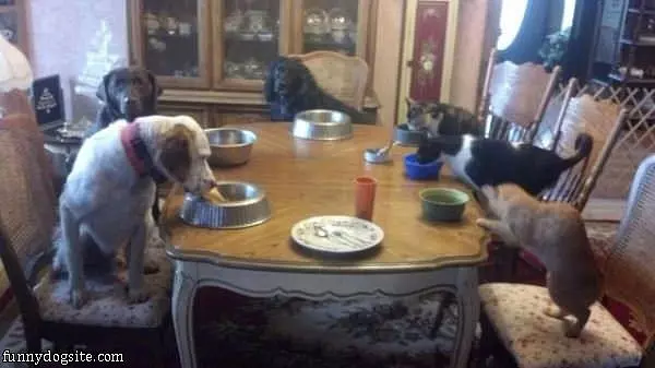 Family Dinner