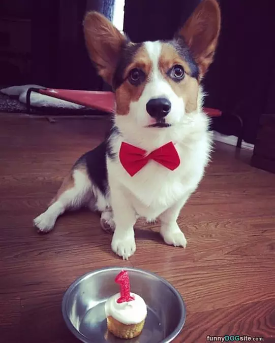 It Issssss My Birthday
