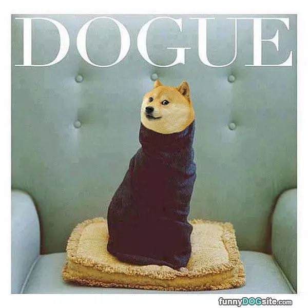 Dogue