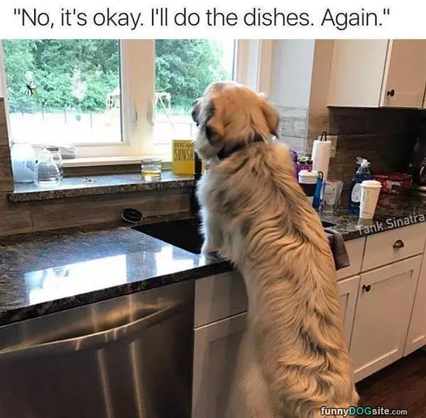 Doing The Dishes