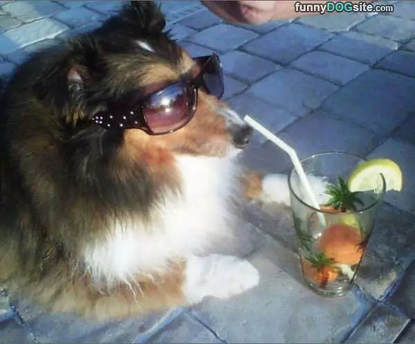 Living The Dream