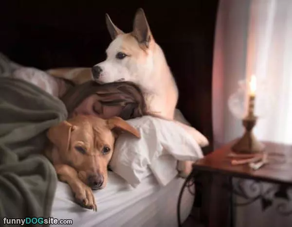 All Cuddling In