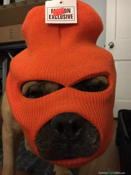 Keeping My Face Warm
