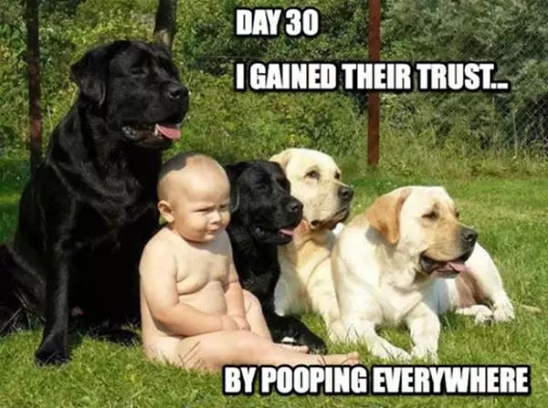 Day 30