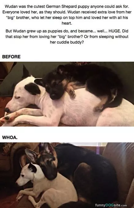 All Grown Up