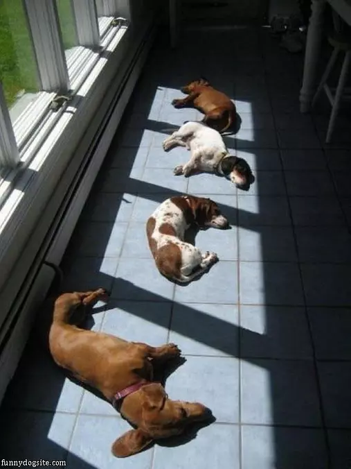 All Keeping Warm