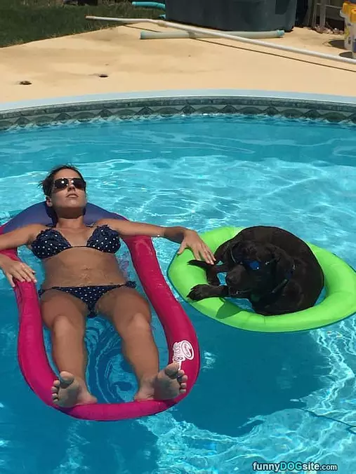 Pool Time