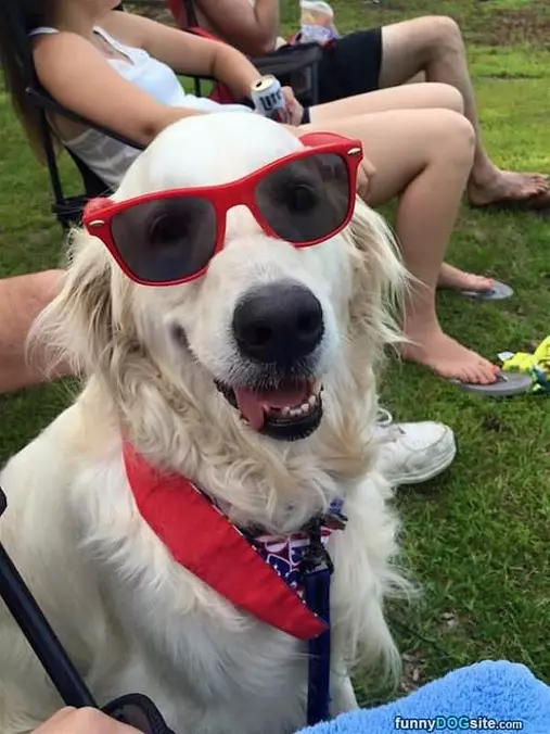 My Cool Glasses