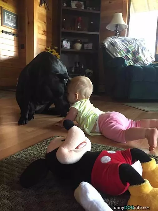 Head Bump