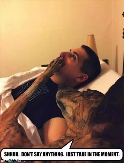 Shhh Dont Say Anything