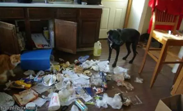 Cleaning The Kitchen