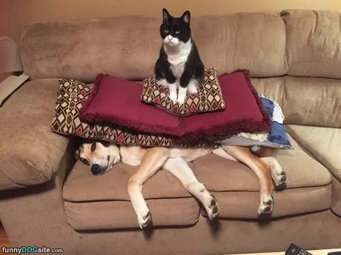 Can You Get This Thing Off Me