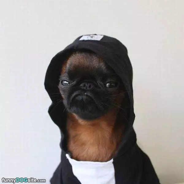 Yo