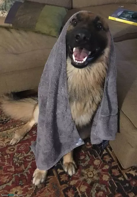Come To The Dark Side