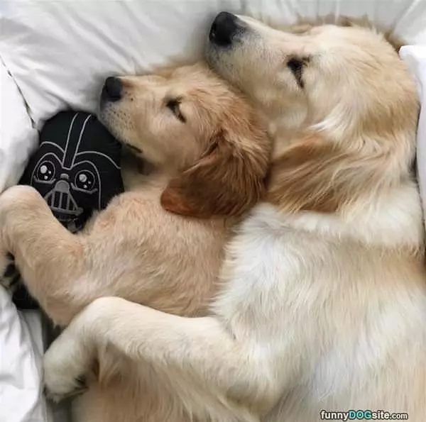 A Together Nap