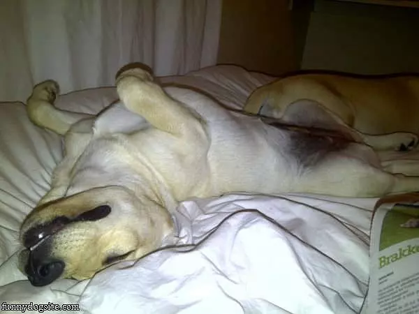 How I Sleep Today