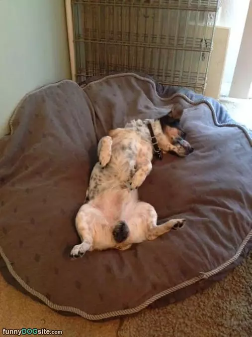 Snoozin
