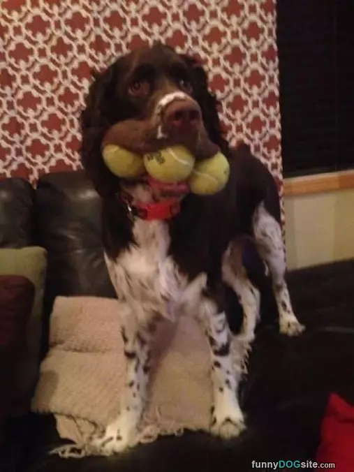 Triple Fetch